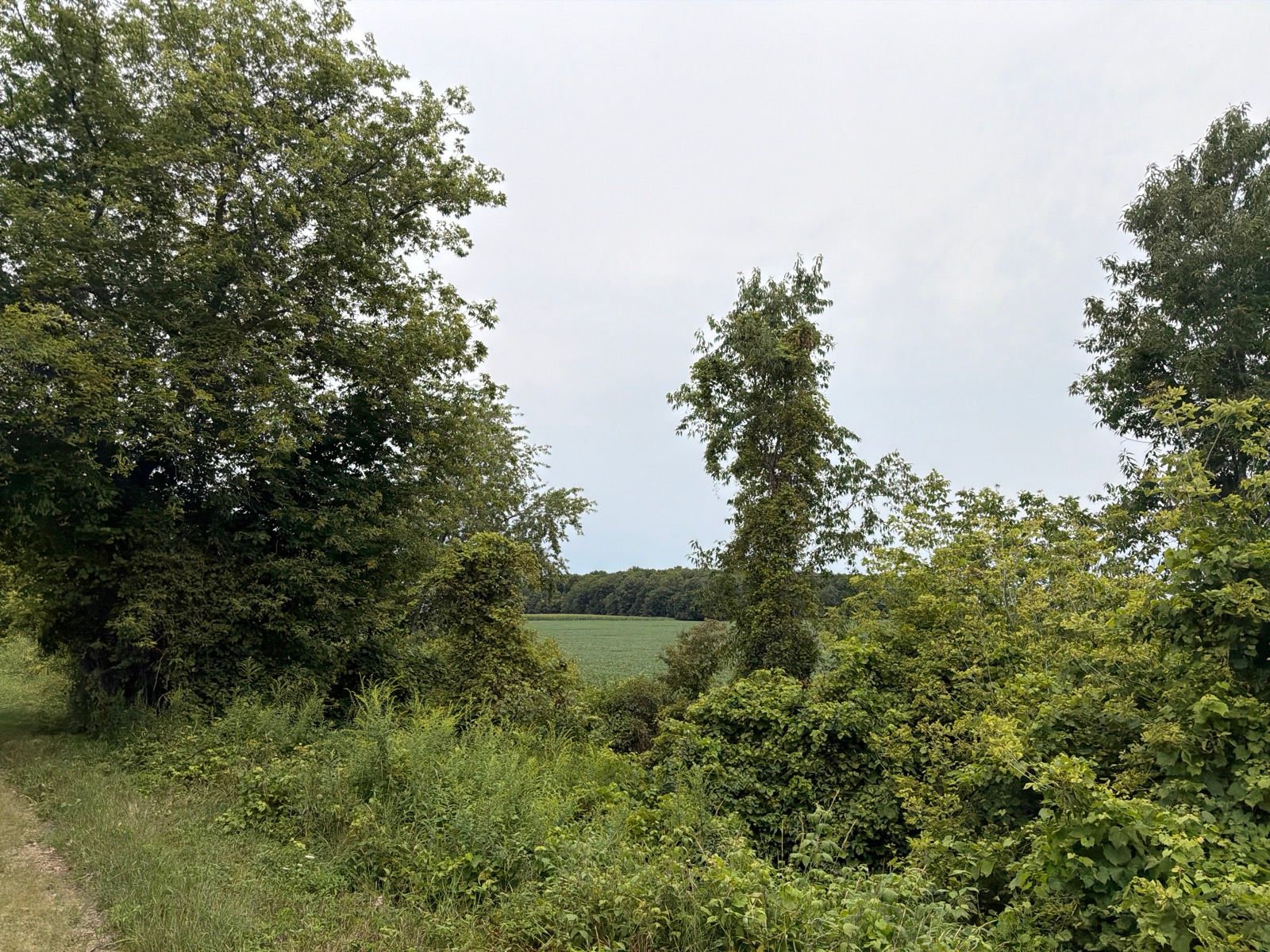 Afternoon Ride
